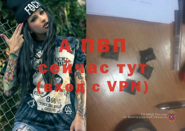 ГАЛЛЮЦИНОГЕННЫЕ ГРИБЫ Наволоки