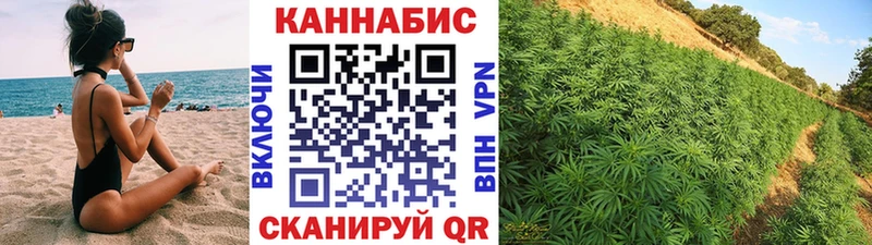 купить наркотики цена  Котельниково  Бошки Шишки SATIVA & INDICA 